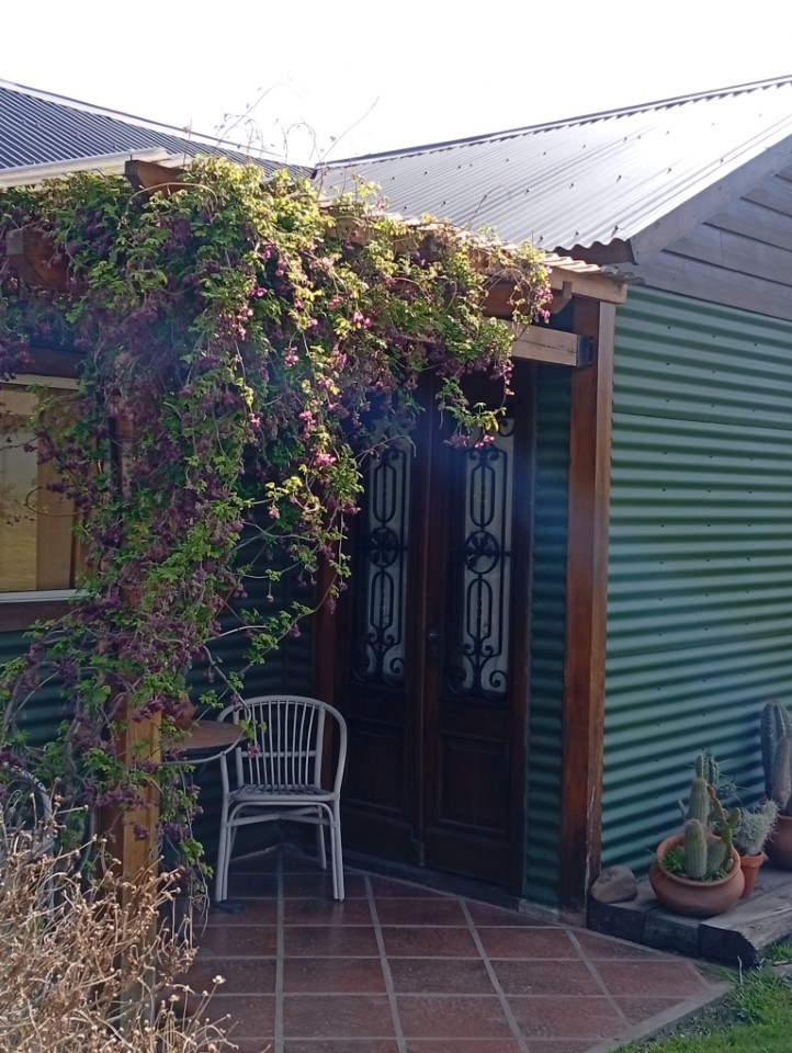 cardones - complejo de cabañas Cerro Ceferino sierra de la ventana