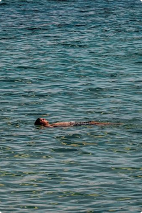 cardones - complejo de cabañas Cerro Ceferino sierra de la ventana