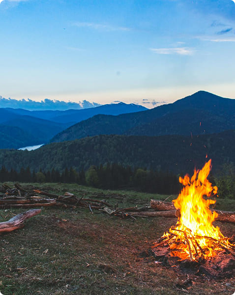 cardones - complejo de cabañas Cerro Ceferino sierra de la ventana
