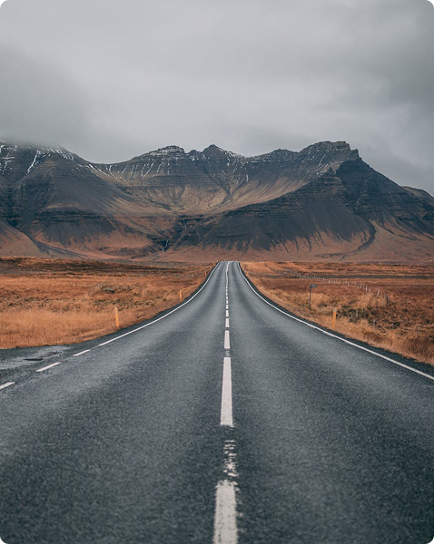 cardones - complejo de cabañas Cerro Ceferino sierra de la ventana
